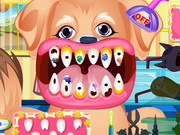 Állat fogászat